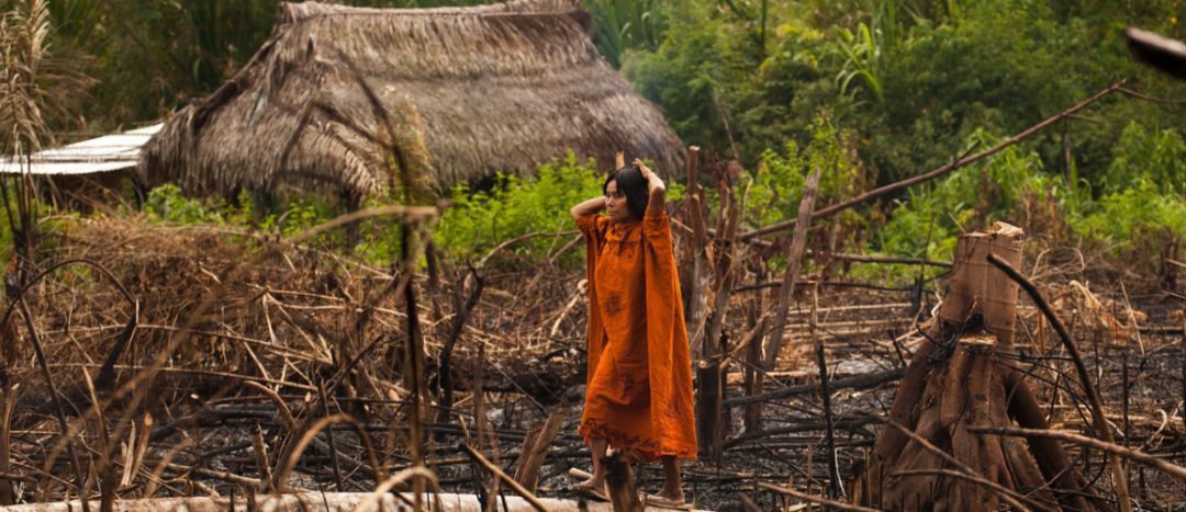 Tourism Declares a Climate Emergency