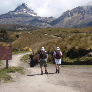 Cotopaxi and the Avenue of Volcanos