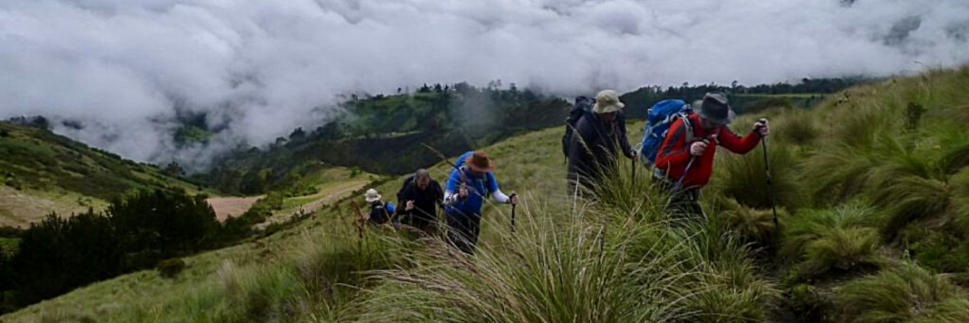 Avenue of Volcanos and Cotopaxi Trek