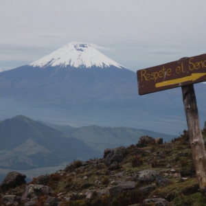 Cotopaxi and the Avenue of Volcanos