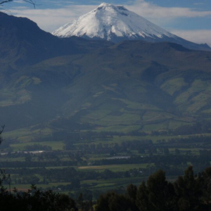 Cotopaxi and the Avenue of Volcanos