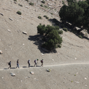 Mt Toubkal Summer Trek