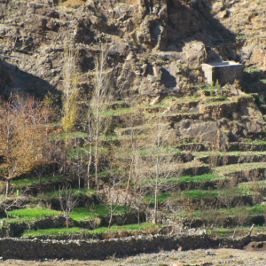 Mt Toubkal Summer Trek