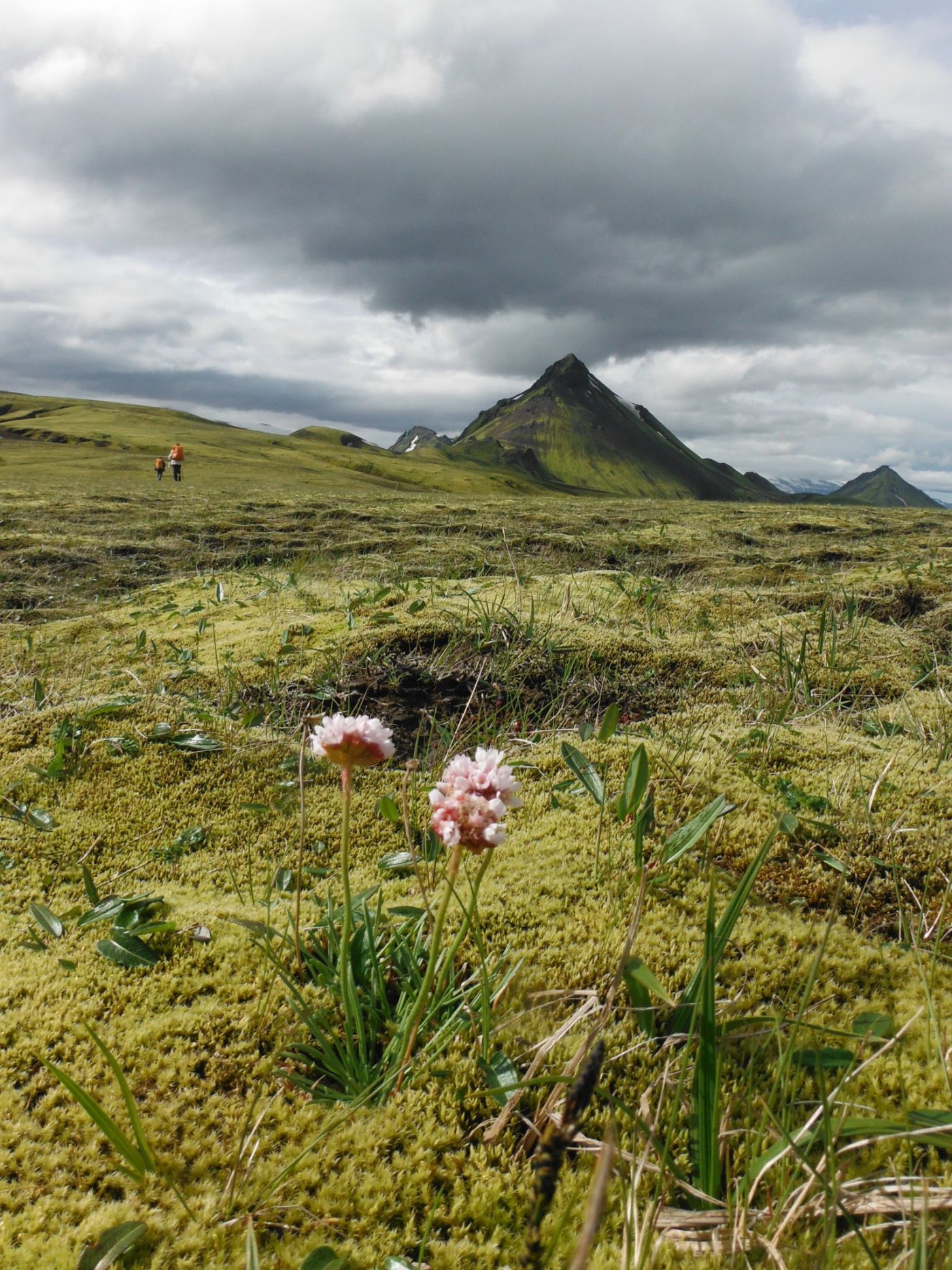 The Iceland Laugavegur Trek 2017