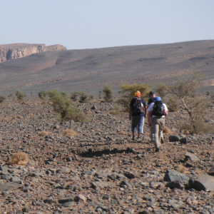 Sahara Desert Trek