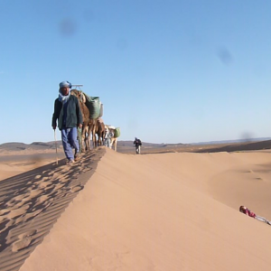 Sahara Desert Trek