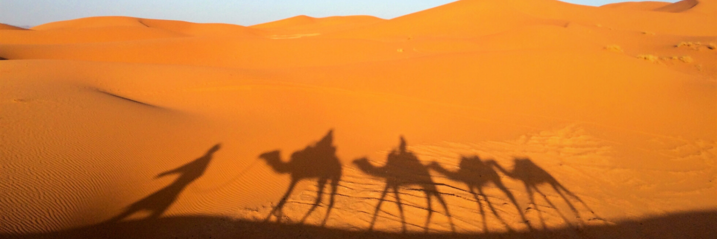 Camel Trekking Sahara | Morocco