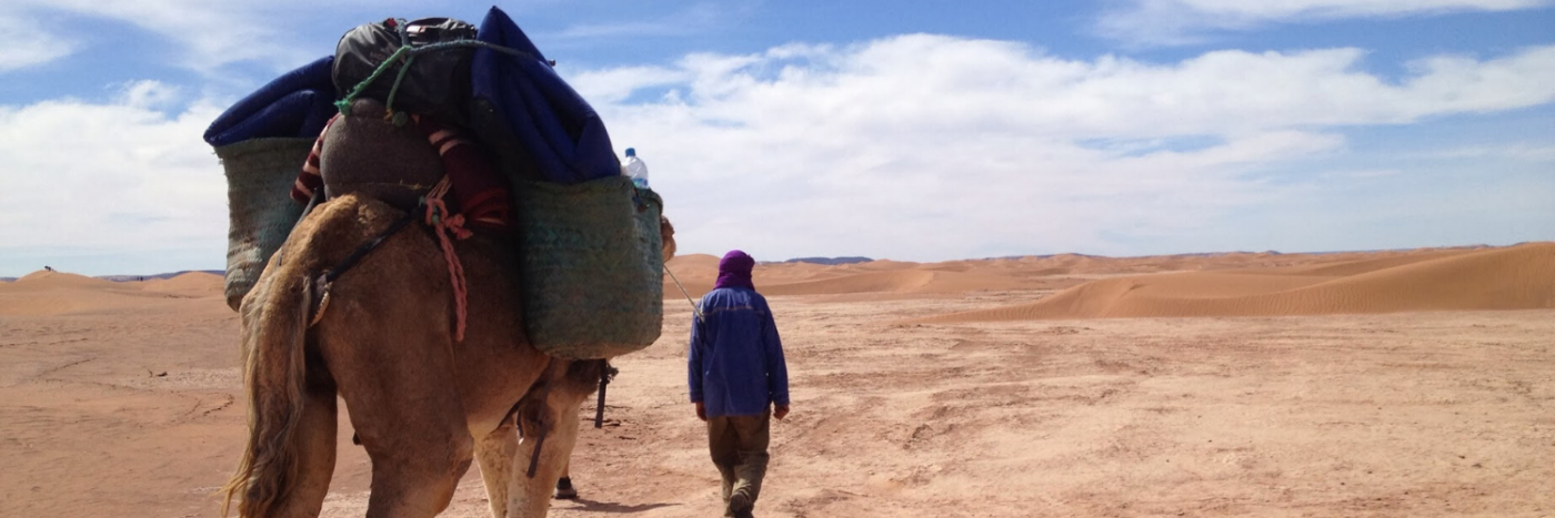 Camel Trek in Morocco