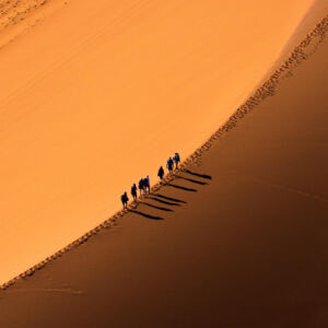 Sahara Desert Trek