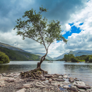 Snowdon Bike and Hike