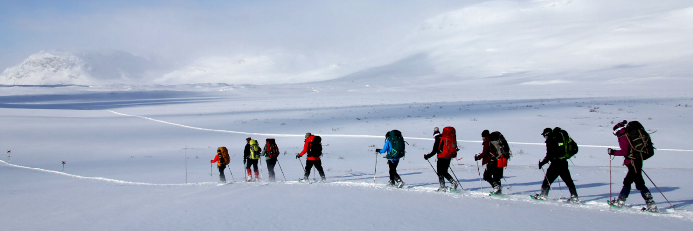 Northern Lights Trek