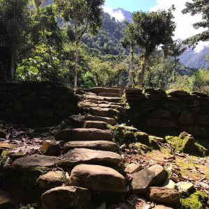 Explore Colombia and The Lost City Trek