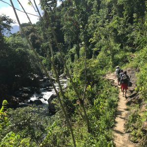 Explore Colombia and The Lost City Trek