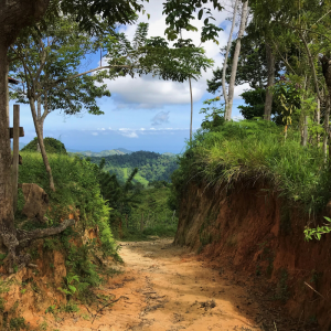 Explore Colombia and The Lost City Trek