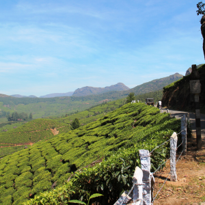 Top to Tail Sri Lanka Cycling Challenge