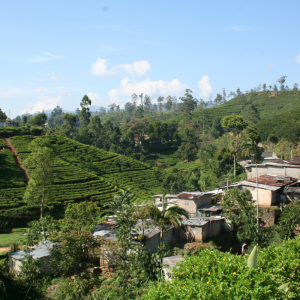 Top to Tail Sri Lanka Cycling Challenge