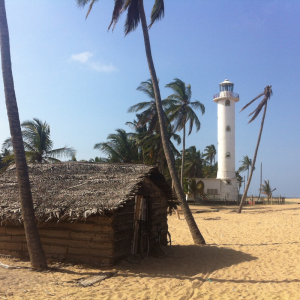 Top to Tail Sri Lanka Cycling Challenge