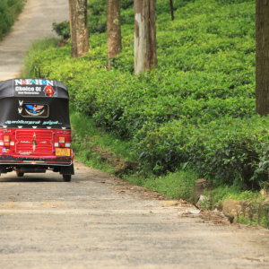 Top to Tail Sri Lanka Cycling Challenge