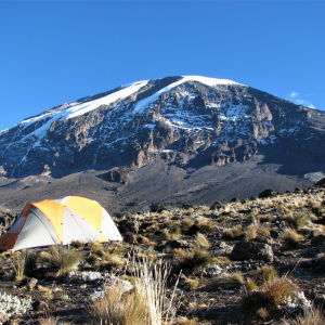 Kilimanjaro Trek