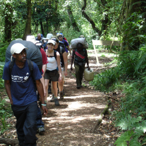 Kilimanjaro Trek