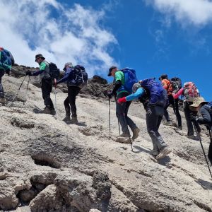 Kilimanjaro Trek