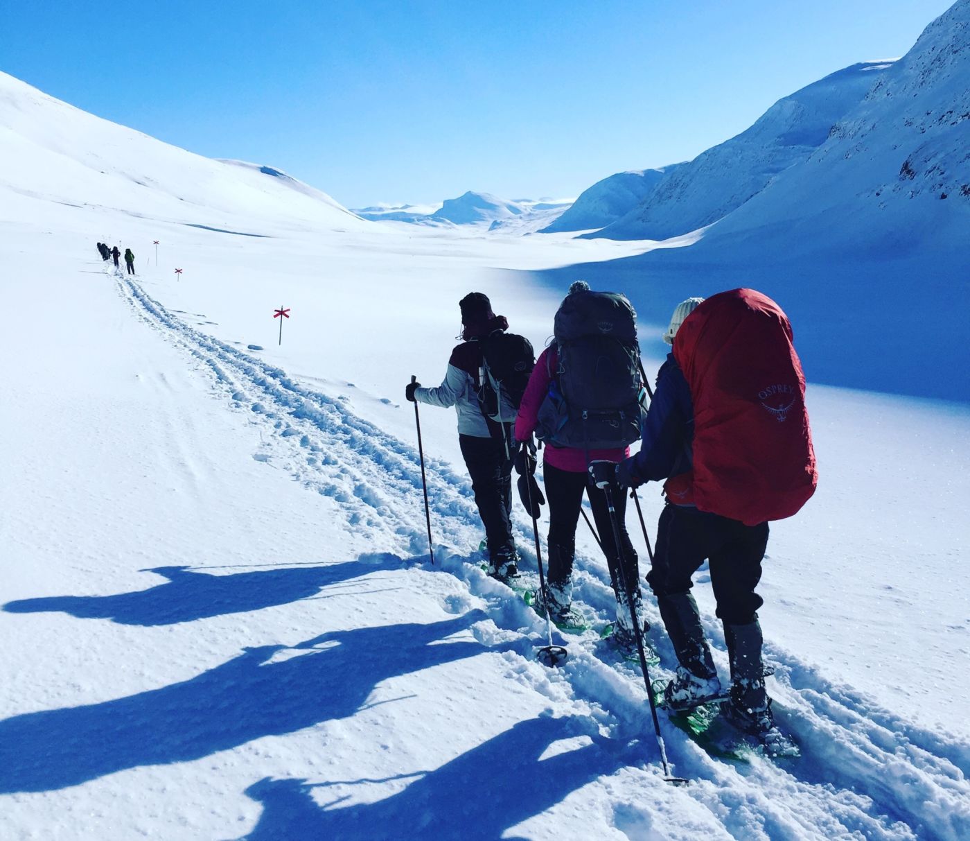 Arctic Snowshoe Trek in Abisko National Park 