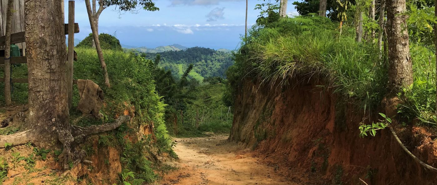 Jungle Hike in Colombia 