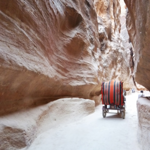 Trek to Ancient Petra, Jordan