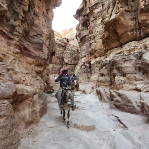 Trek to Ancient Petra, Jordan