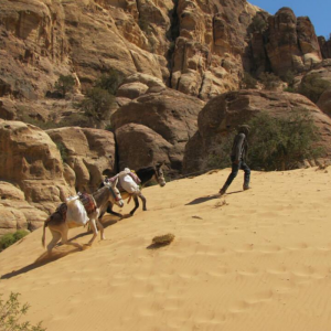 Trek to Ancient Petra, Jordan