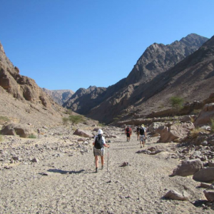 Trek to Ancient Petra, Jordan