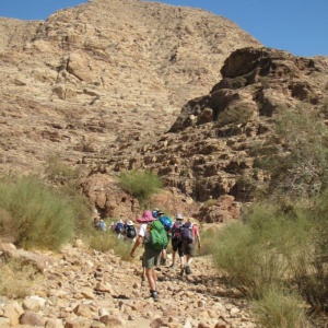 Trek to Ancient Petra, Jordan