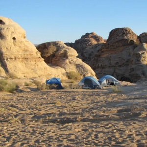 Trek to Ancient Petra, Jordan