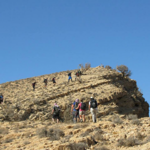 Trek to Ancient Petra, Jordan