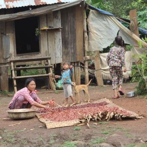 Vietnam to Cambodia Cycling Adventure