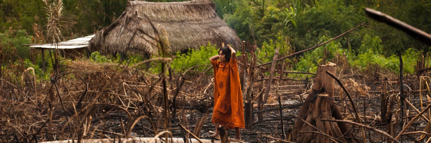 Tourism Declares a Climate Emergency