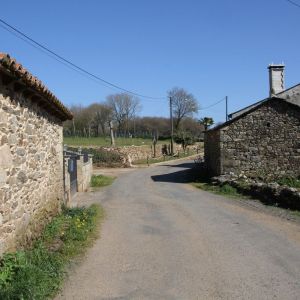 Camino de Santiago Trek