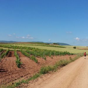 Camino de Santiago Trek