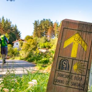 Camino de Santiago Trek