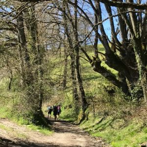 Camino de Santiago Trek