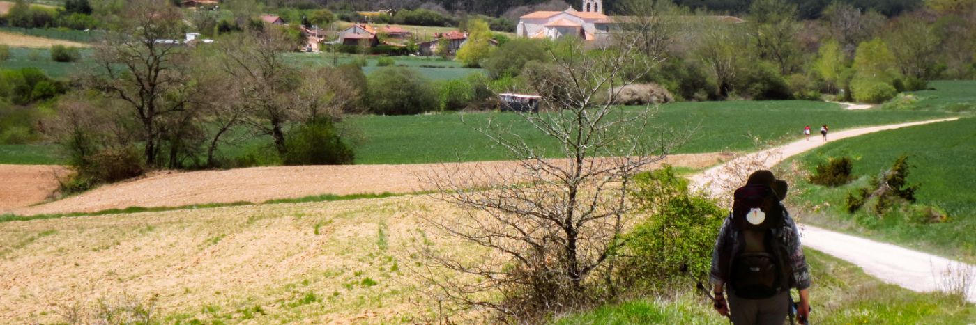 The Camino de Santiago de Compostela