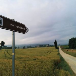 The Italian Camino Self Guided Trek – Via Francigena