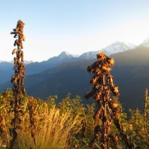 Nepal Hike, Bike & Raft Adventure