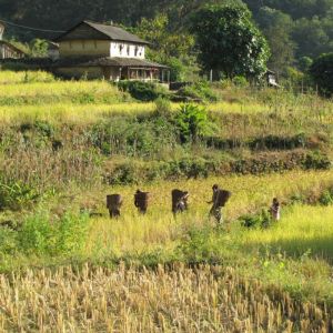 Nepal Hike, Bike & Raft Adventure