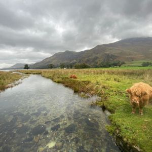 Lake District 15 Peaks Challenge