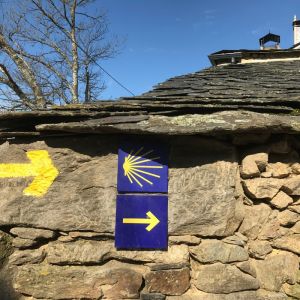 Camino de Santiago Self-Guided Trek