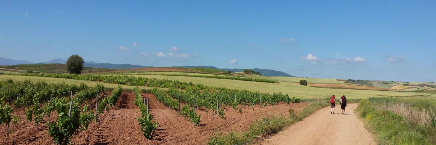 Self Guided Camino Trail